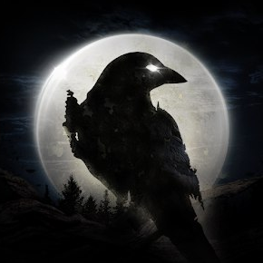 Night Crows - NFT